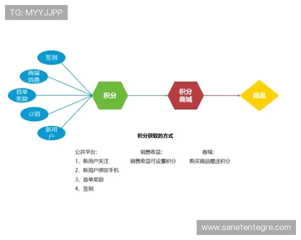 详细解析K8电子俱乐部的会员制度与积分奖励体系提升用户粘性